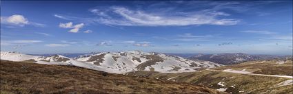 Near Rawsons Pass - Kosciuszko NP - NSW (PBH4 00 10593)